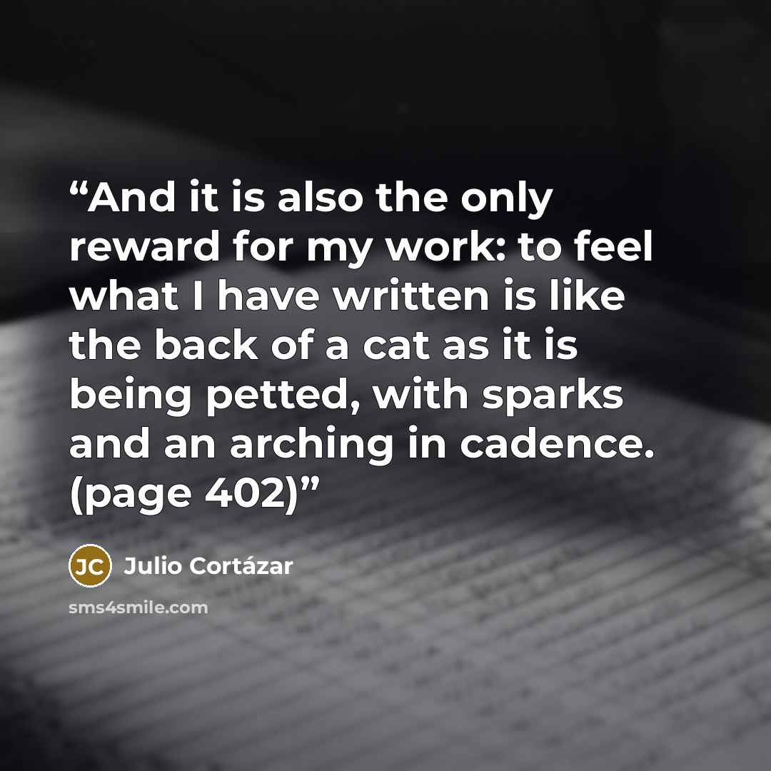 “And it is also the only reward for my work: to feel what I have written is like the back of a cat as it is being petted, with sparks and an arching in cadence. (page 402)” quote by Julio Cortázar