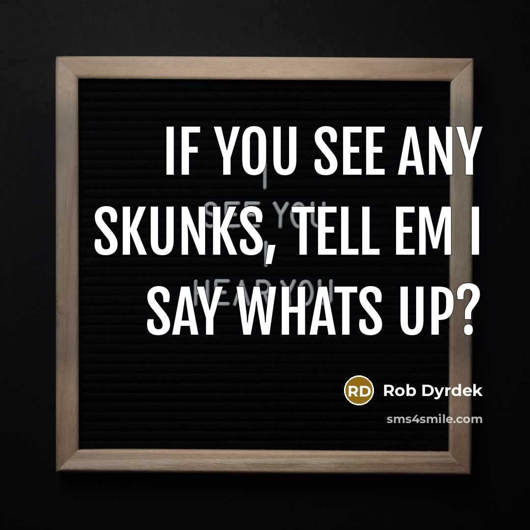 “If you see any skunks, tell em I say whats…” quote by Rob Dyrdek