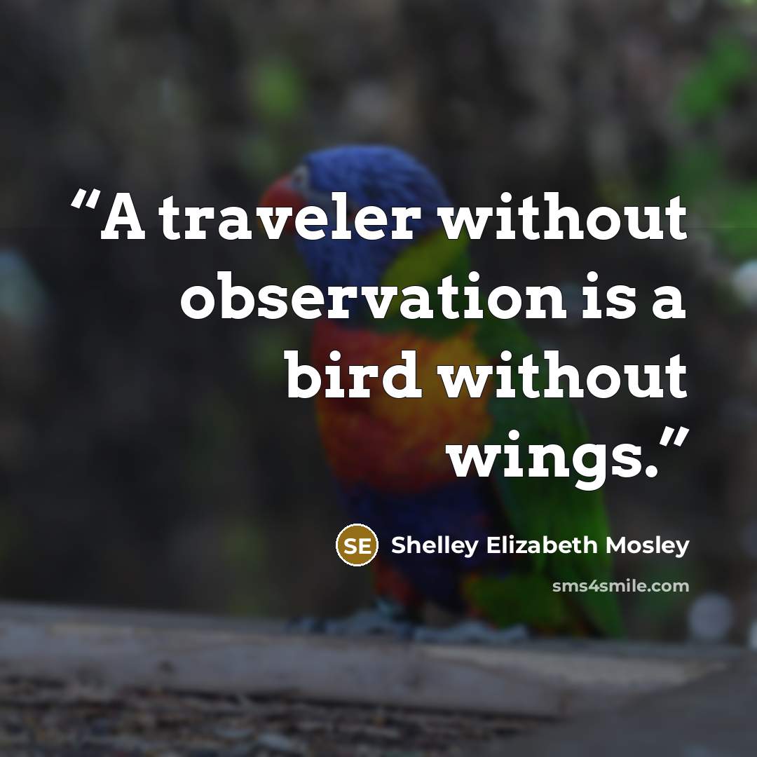 “A traveler without observation is a bird without wings.” quote by Shelley Elizabeth Mosley