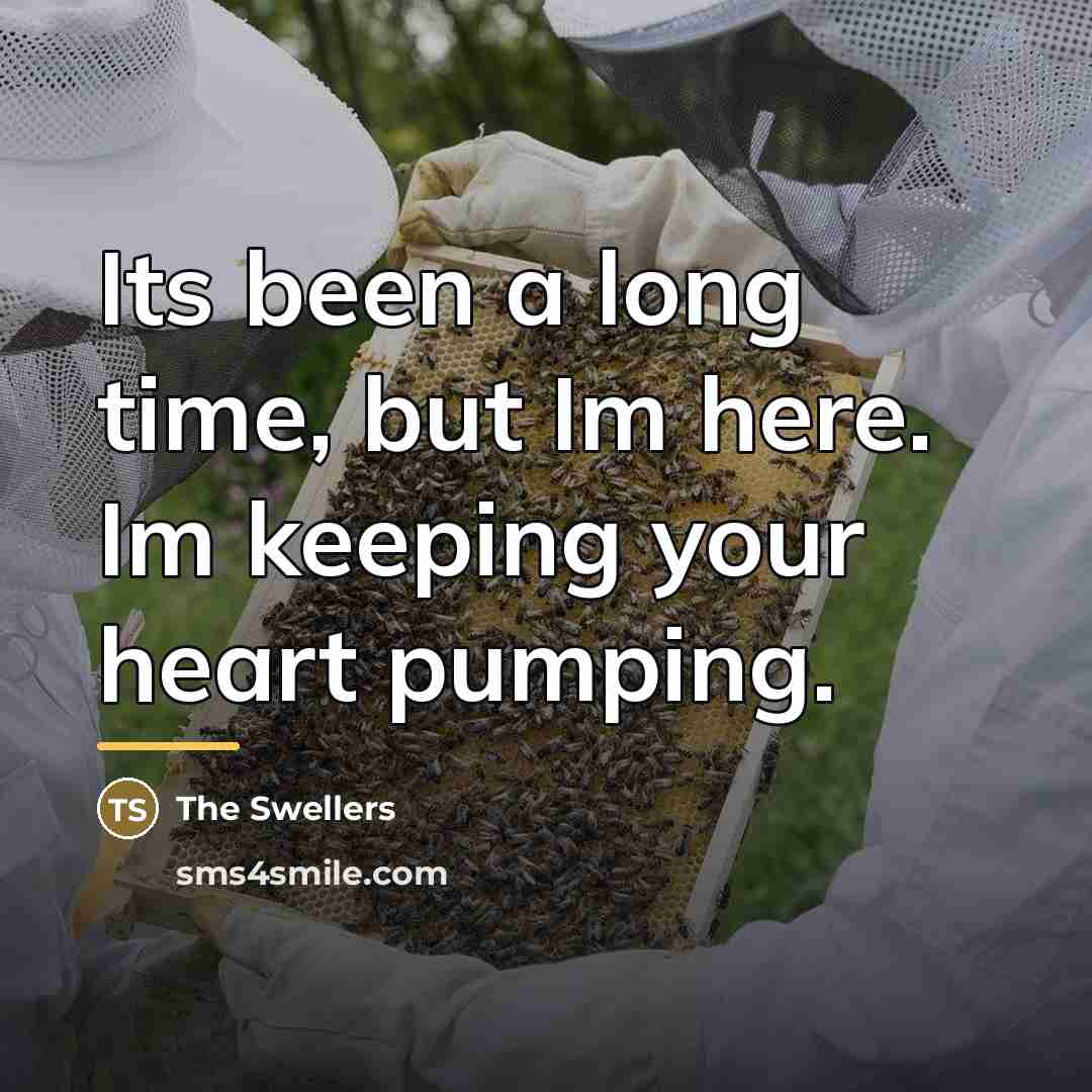 “Its been a long time, but Im here. Im keeping…” quote by The Swellers