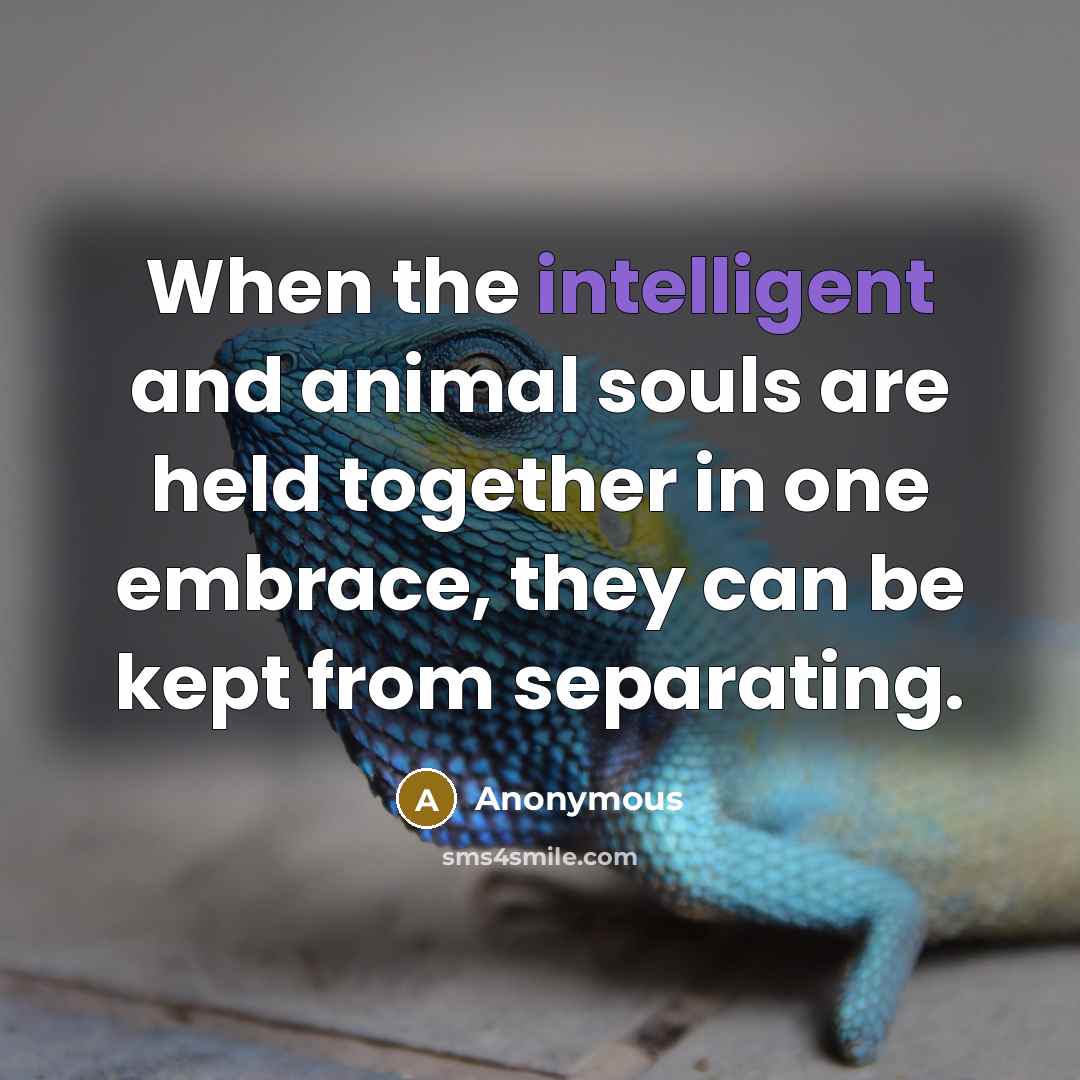 “When the intelligent and animal souls are held together in…” quote by Anonymous