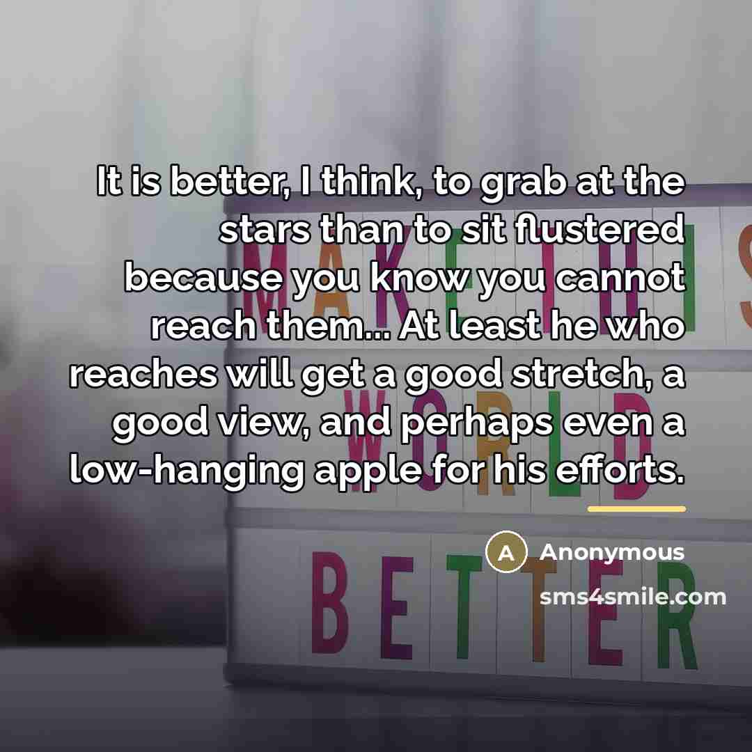 “It is better, I think, to grab at the stars…” quote by Anonymous