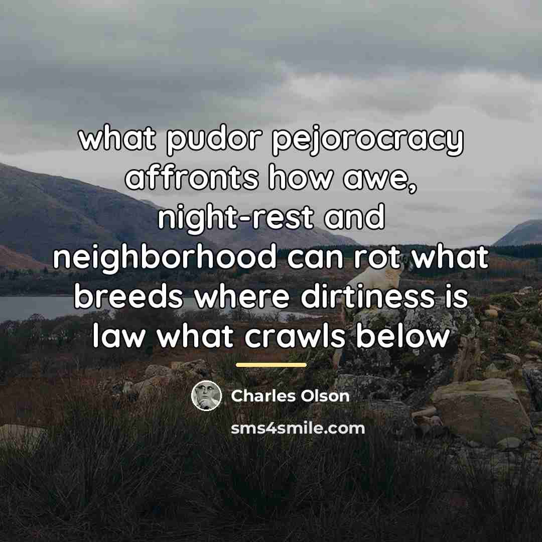 “what pudor pejorocracy affronts how awe, night-rest and neighborhood can…” quote by Charles Olson