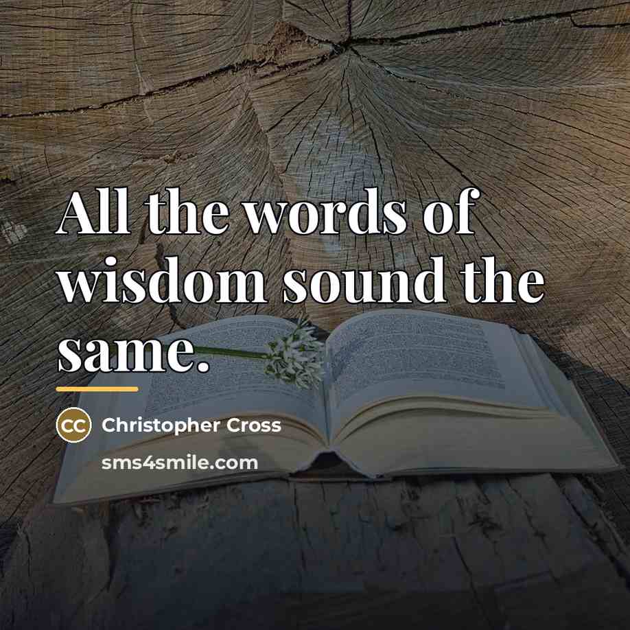 “All the words of wisdom sound the same.…” quote by Christopher Cross