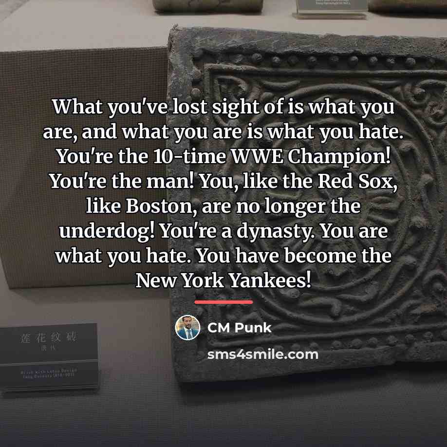 “What you've lost sight of is what you are, and…” quote by CM Punk