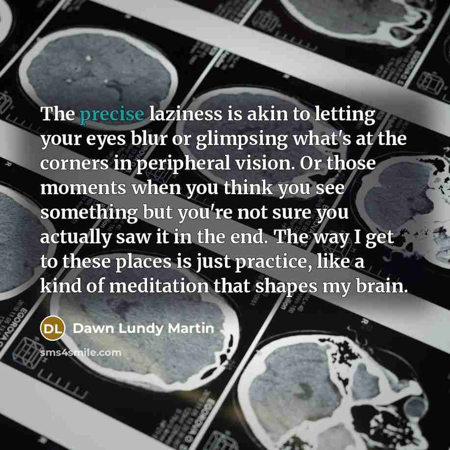 “The precise laziness is akin to letting your eyes blur…” quote by Dawn Lundy Martin
