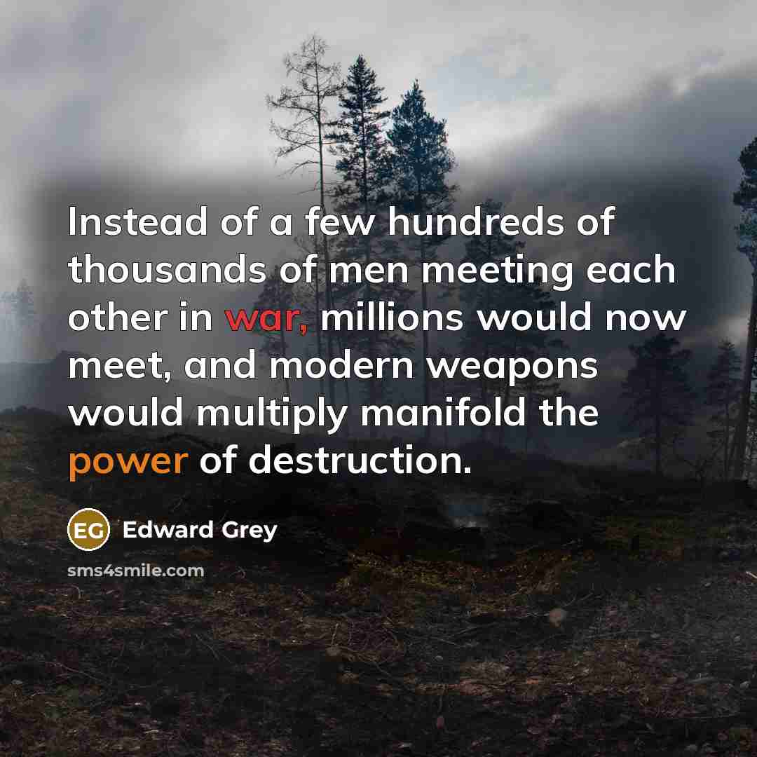 “Instead of a few hundreds of thousands of men meeting…” quote by Edward Grey
