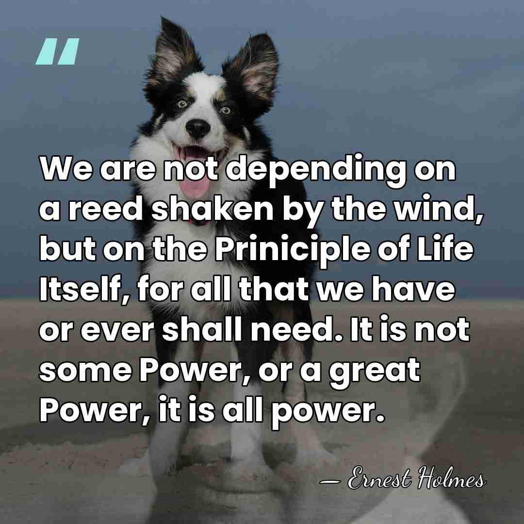 We are not depending on a reed shaken by the wind, but&hellip; - Ernest Holmes