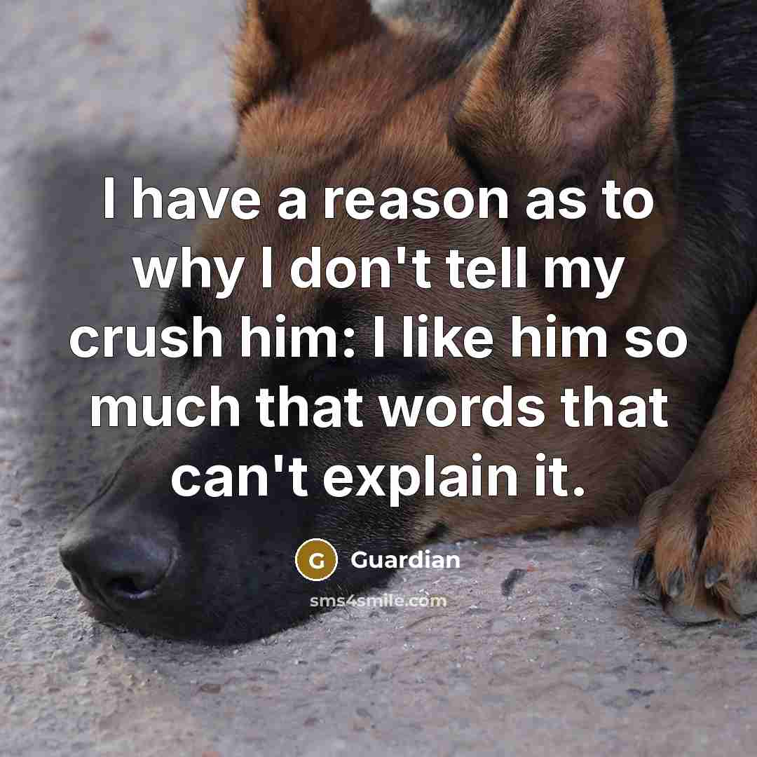 “I have a reason as to why I don't tell…” quote by Guardian