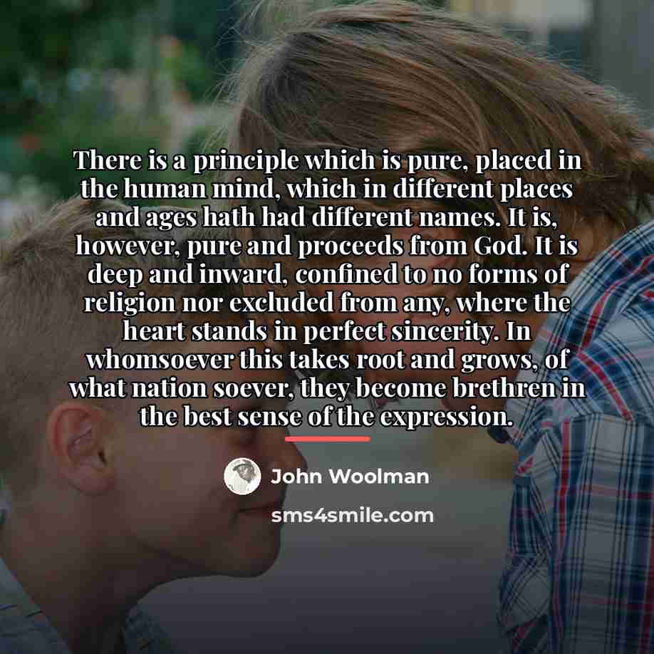 “There is a principle which is pure, placed in the…” quote by John Woolman