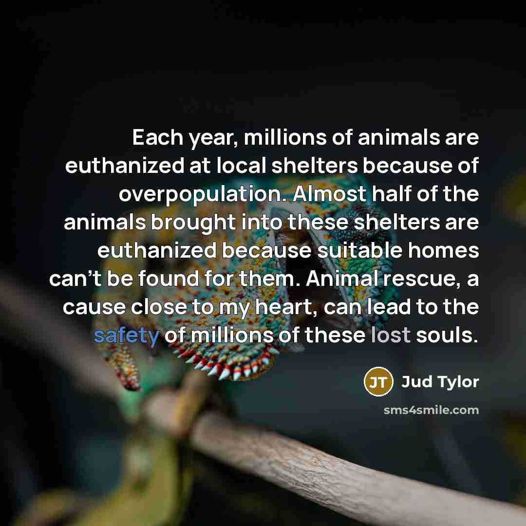 “Each year, millions of animals are euthanized at local shelters…” quote by Jud Tylor