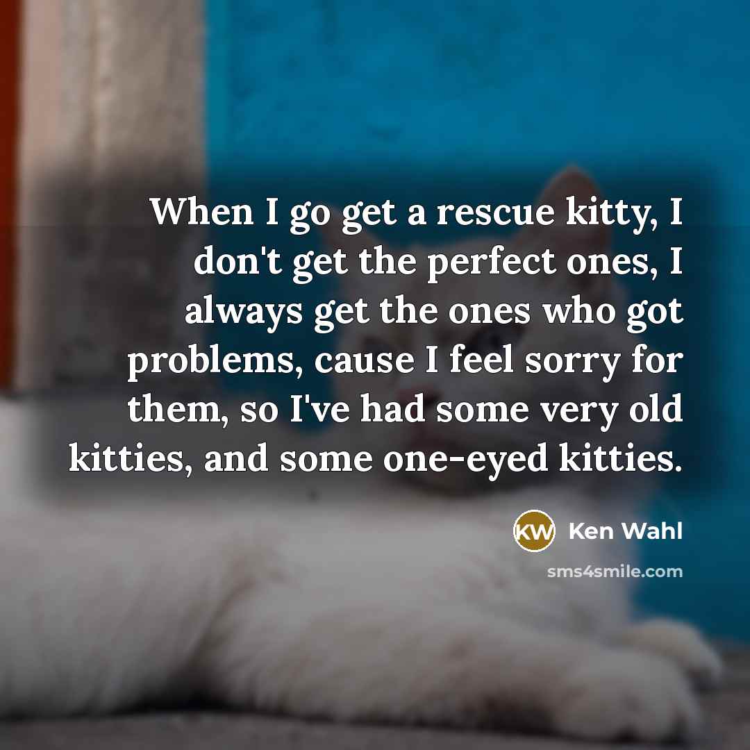 “When I go get a rescue kitty, I don't get the perfect ones, I always get the ones who got problems, cause I feel sorry for them, so I've had some very old kitties, and some one-eyed kitties.” quote by Ken Wahl