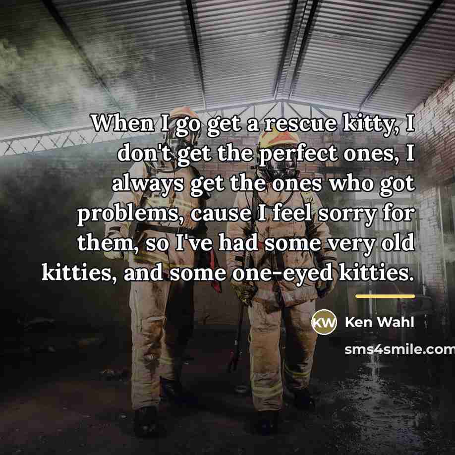 “When I go get a rescue kitty, I don't get…” quote by Ken Wahl