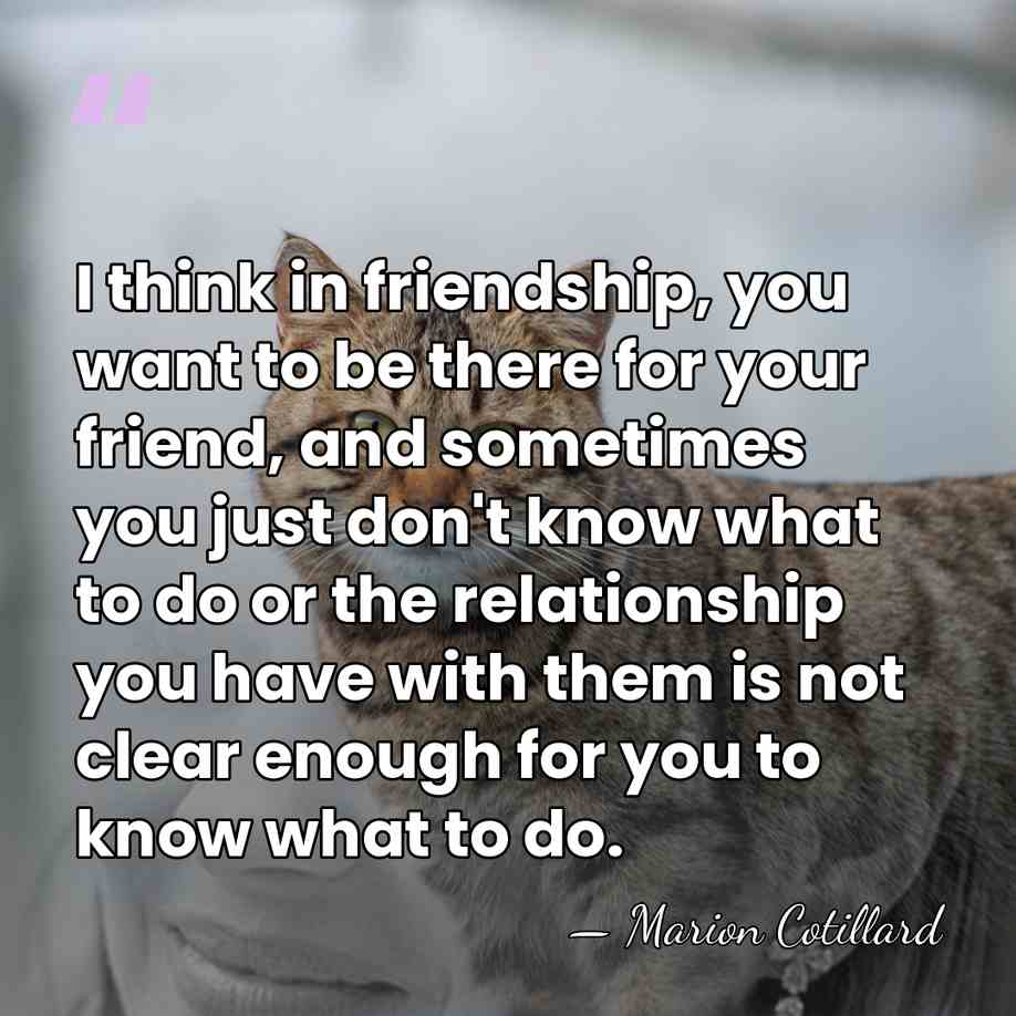 I think in friendship, you want to be there for your friend,&hellip; - Marion Cotillard