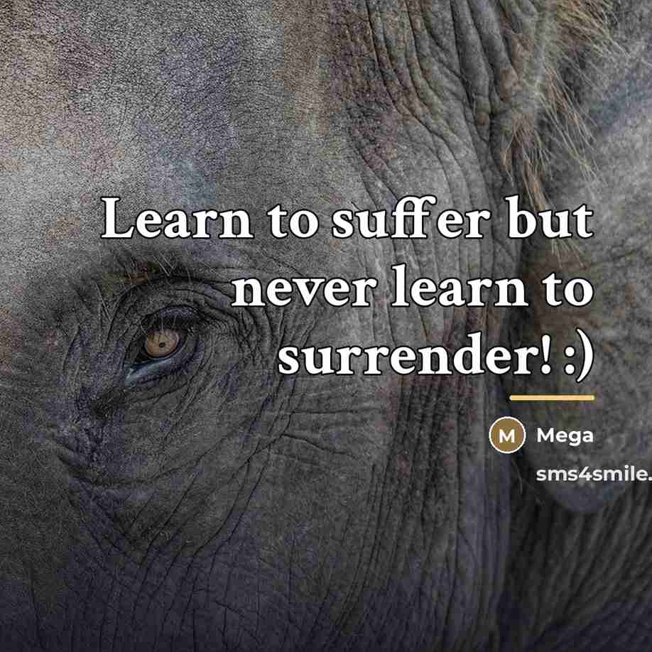“Learn to suffer but never learn to surrender! :)…” quote by Mega