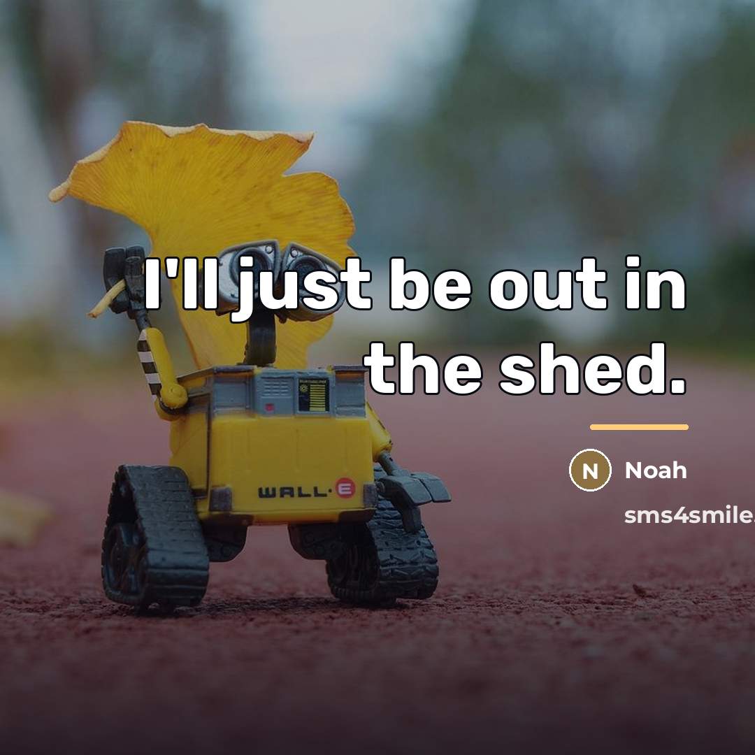 “I'll just be out in the shed.…” quote by Noah