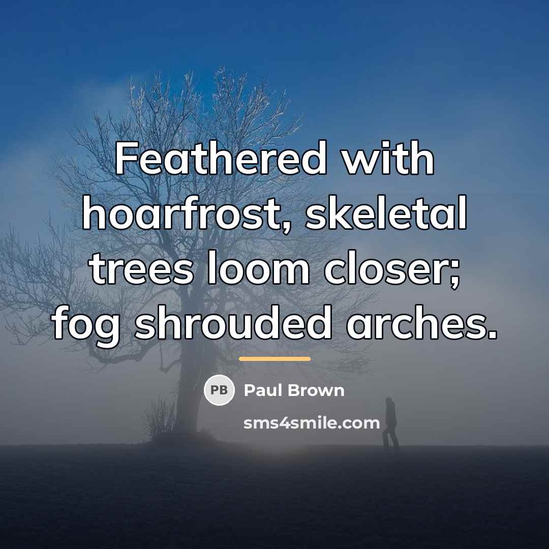 “Feathered with hoarfrost, skeletal trees loom closer; fog shrouded arches.…” quote by Paul Brown