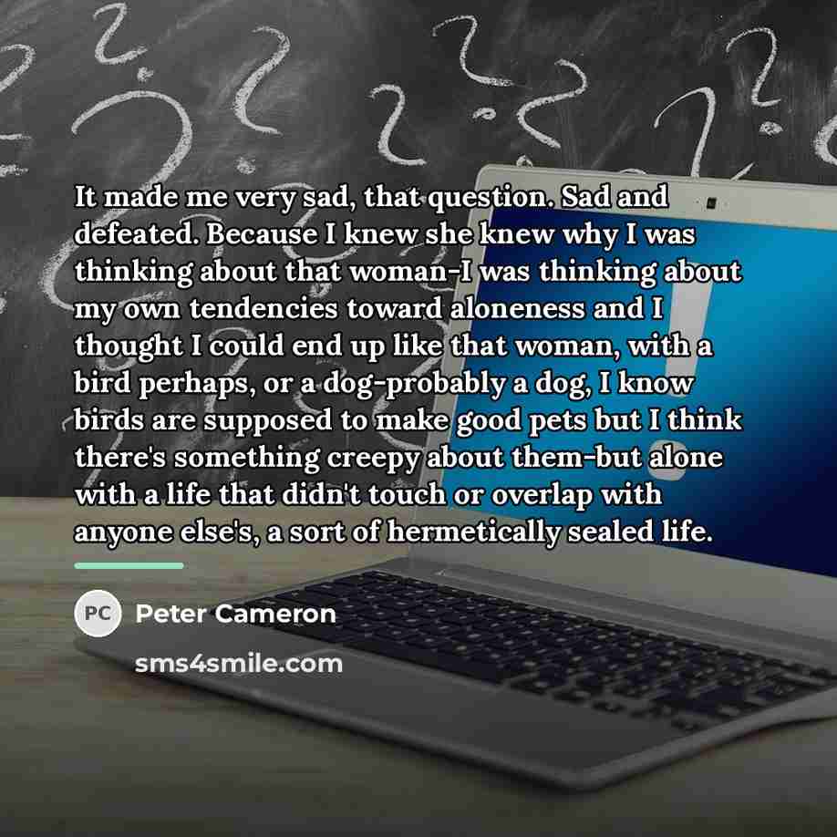 “It made me very sad, that question. Sad and defeated.…” quote by Peter Cameron