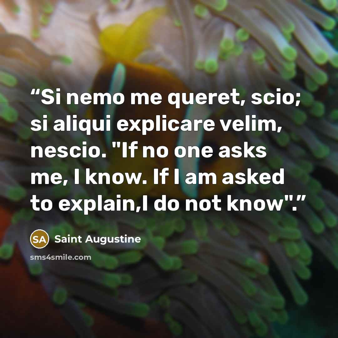 “Si nemo me queret, scio; si aliqui explicare velim, nescio. "If no one asks me, I know. If I am asked to explain,I do not know".” quote by Saint Augustine