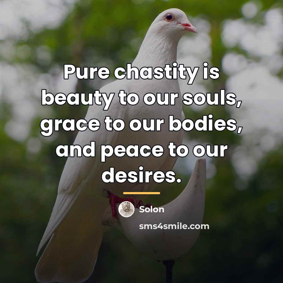 “Pure chastity is beauty to our souls, grace to our…” quote by Solon