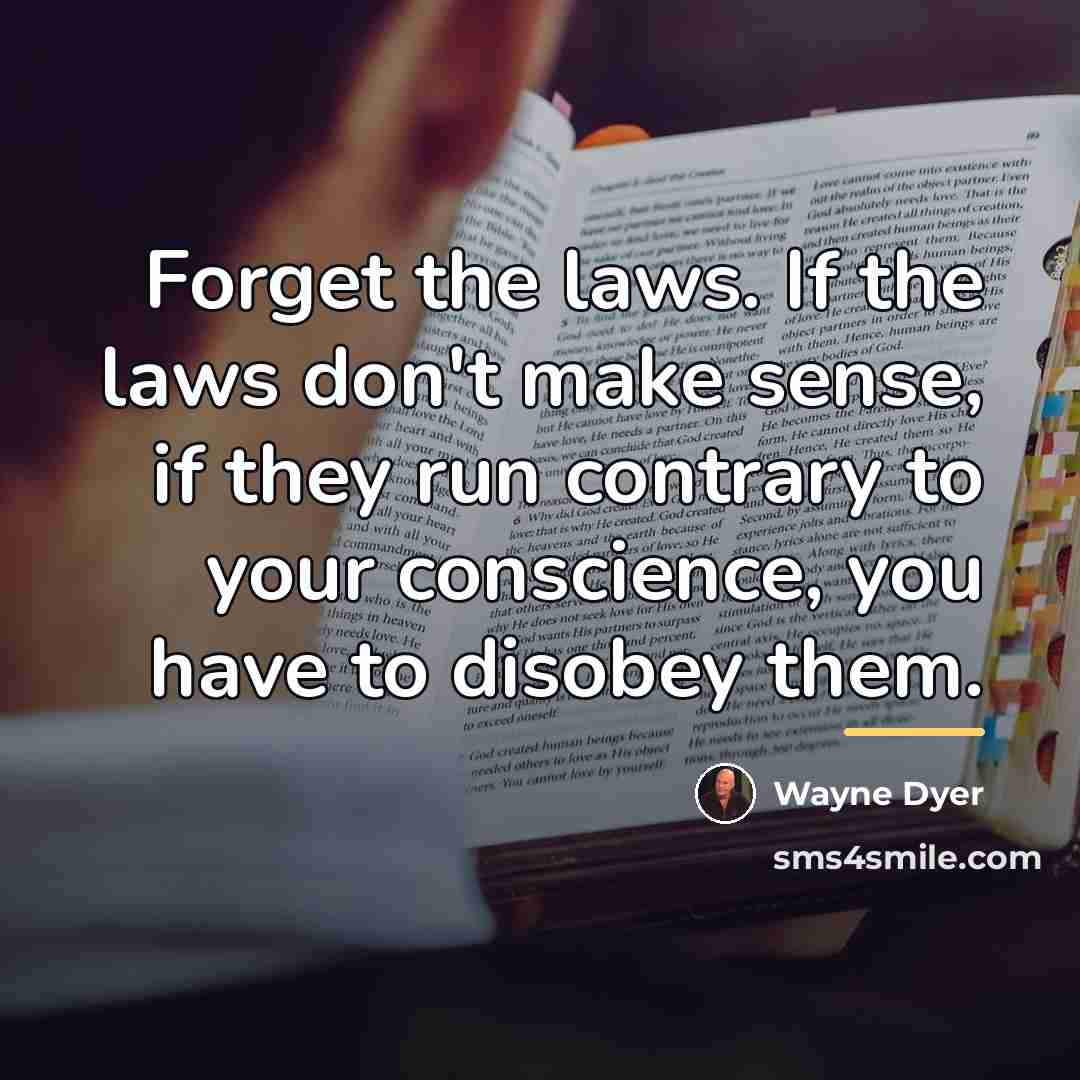 “Forget the laws. If the laws don't make sense, if…” quote by Wayne Dyer