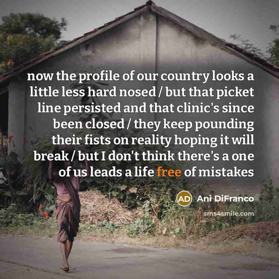 “now the profile of our country looks a little less…” quote by Ani DiFranco