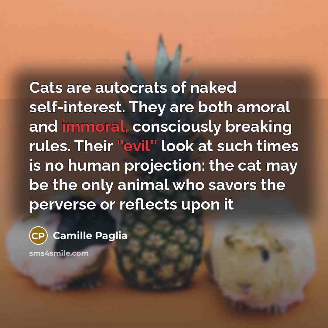 “Cats are autocrats of naked self-interest. They are both amoral…” quote by Camille Paglia
