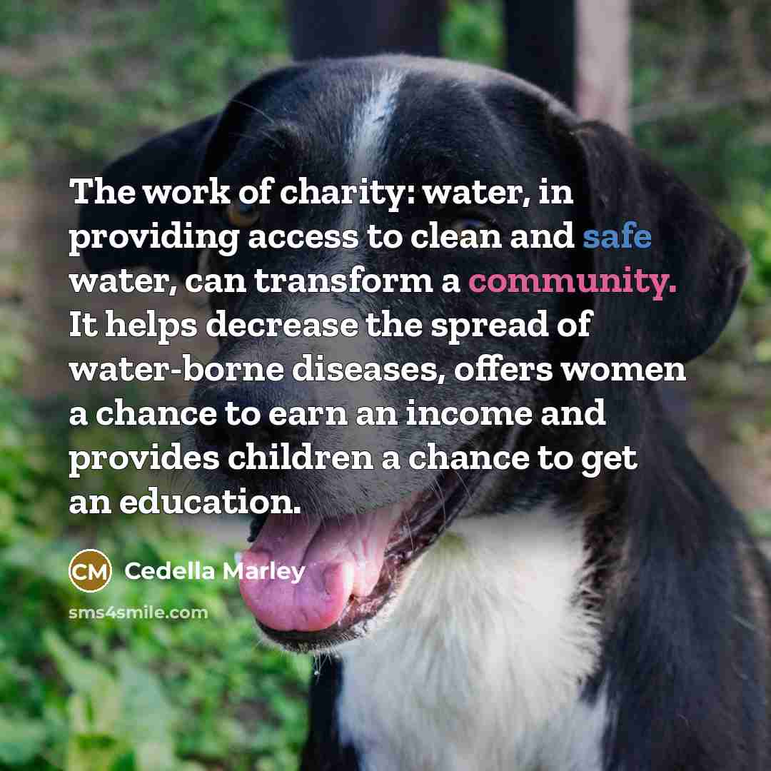 “The work of charity: water, in providing access to clean…” quote by Cedella Marley