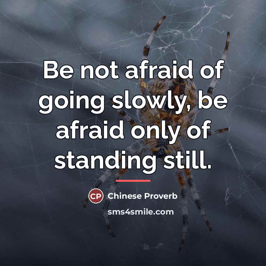 “Be not afraid of going slowly, be afraid only of…” quote by Chinese Proverb
