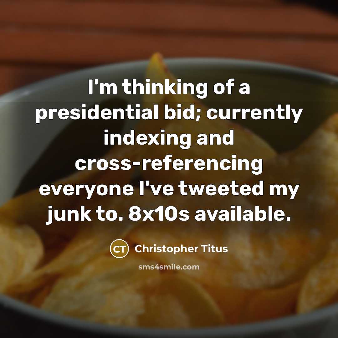 “I'm thinking of a presidential bid; currently indexing and cross-referencing…” quote by Christopher Titus