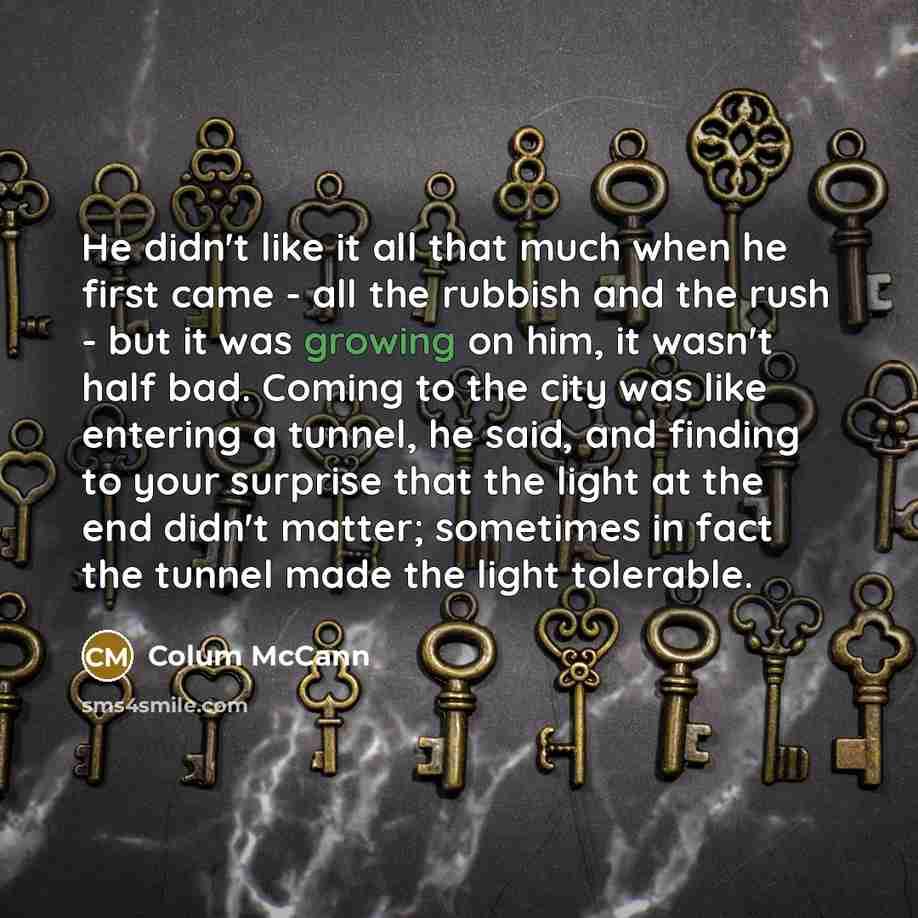“He didn't like it all that much when he first…” quote by Colum McCann