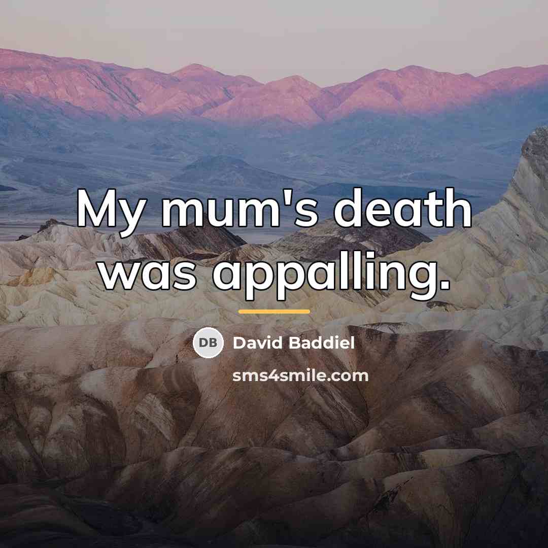 “My mum's death was appalling.…” quote by David Baddiel