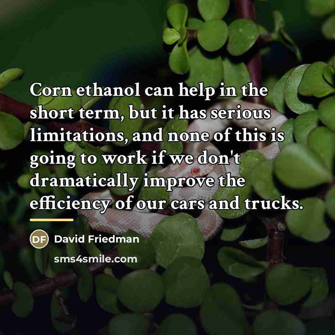 “Corn ethanol can help in the short term, but it…” quote by David Friedman