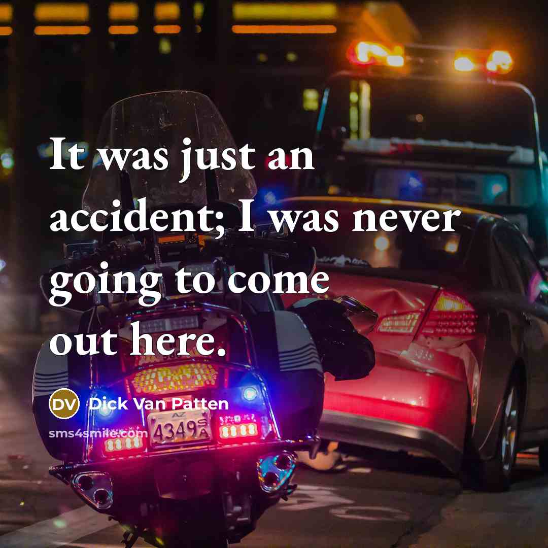 “It was just an accident; I was never going to…” quote by Dick Van Patten