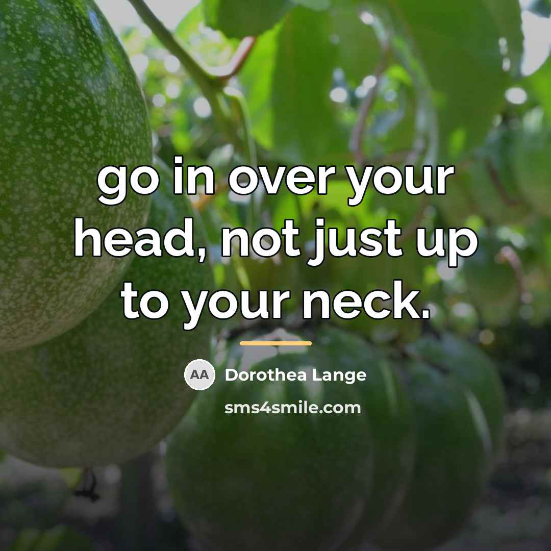 “go in over your head, not just up to your…” quote by Dorothea Lange