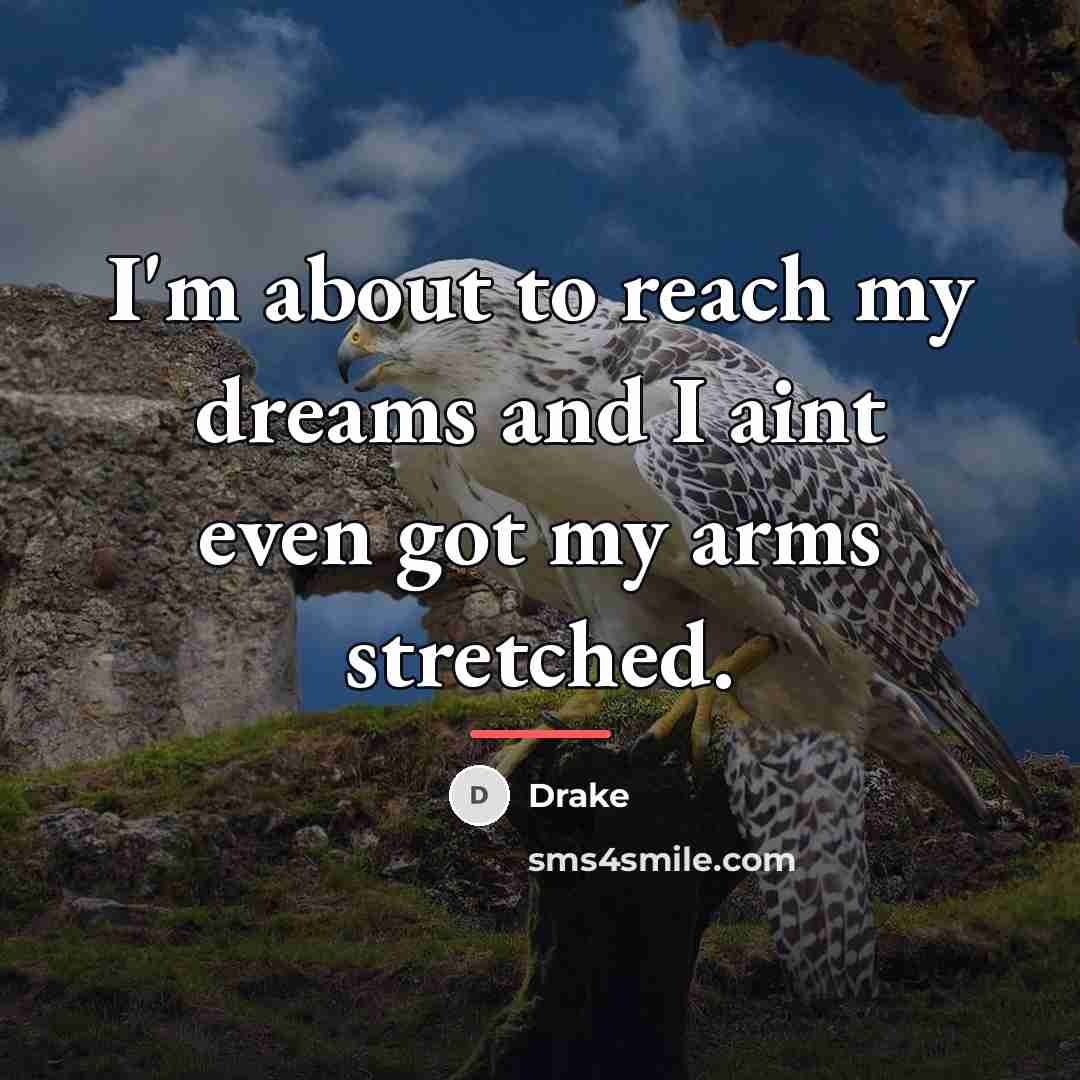 “I'm about to reach my dreams and I aint even…” quote by Drake