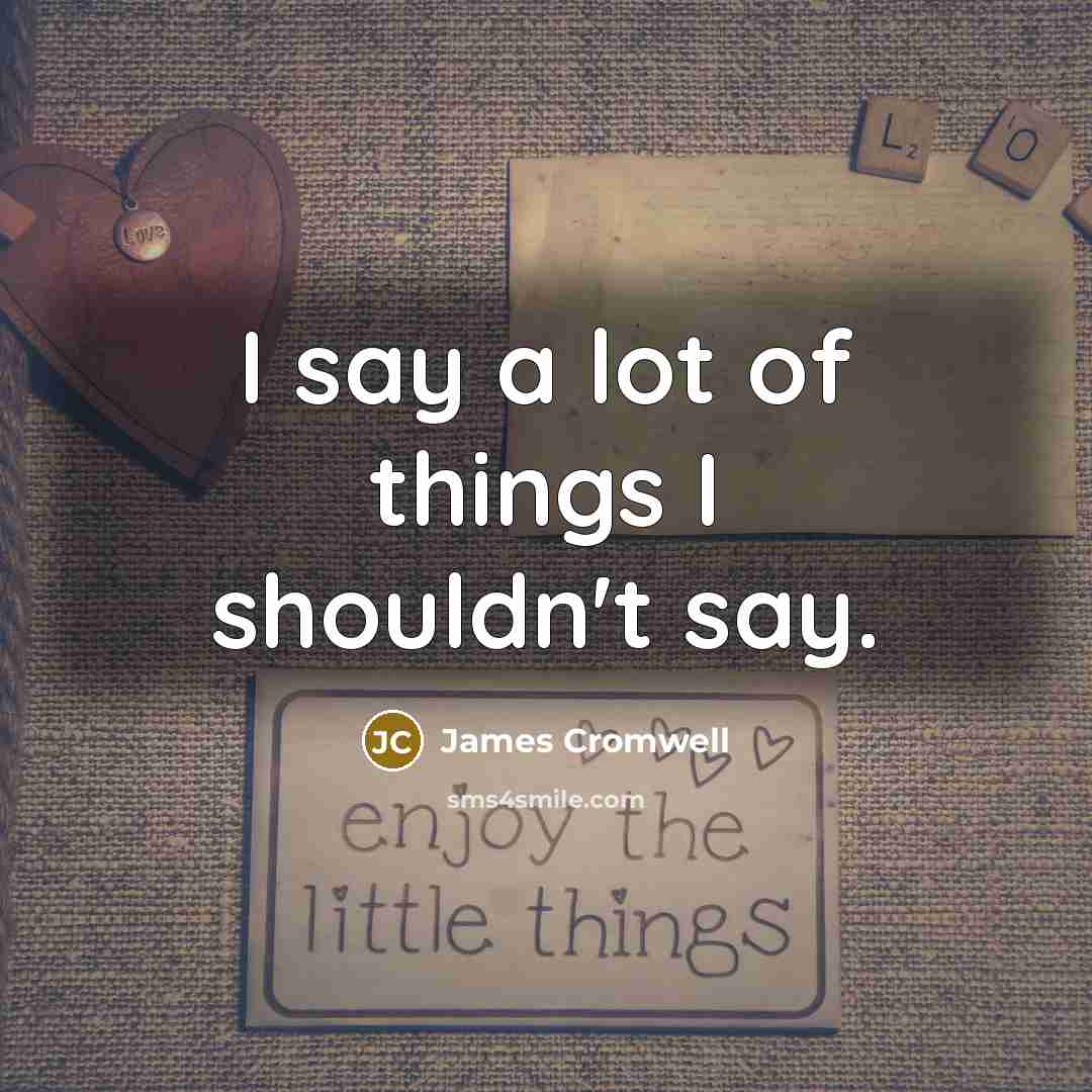 “I say a lot of things I shouldn't say.” quote by James Cromwell