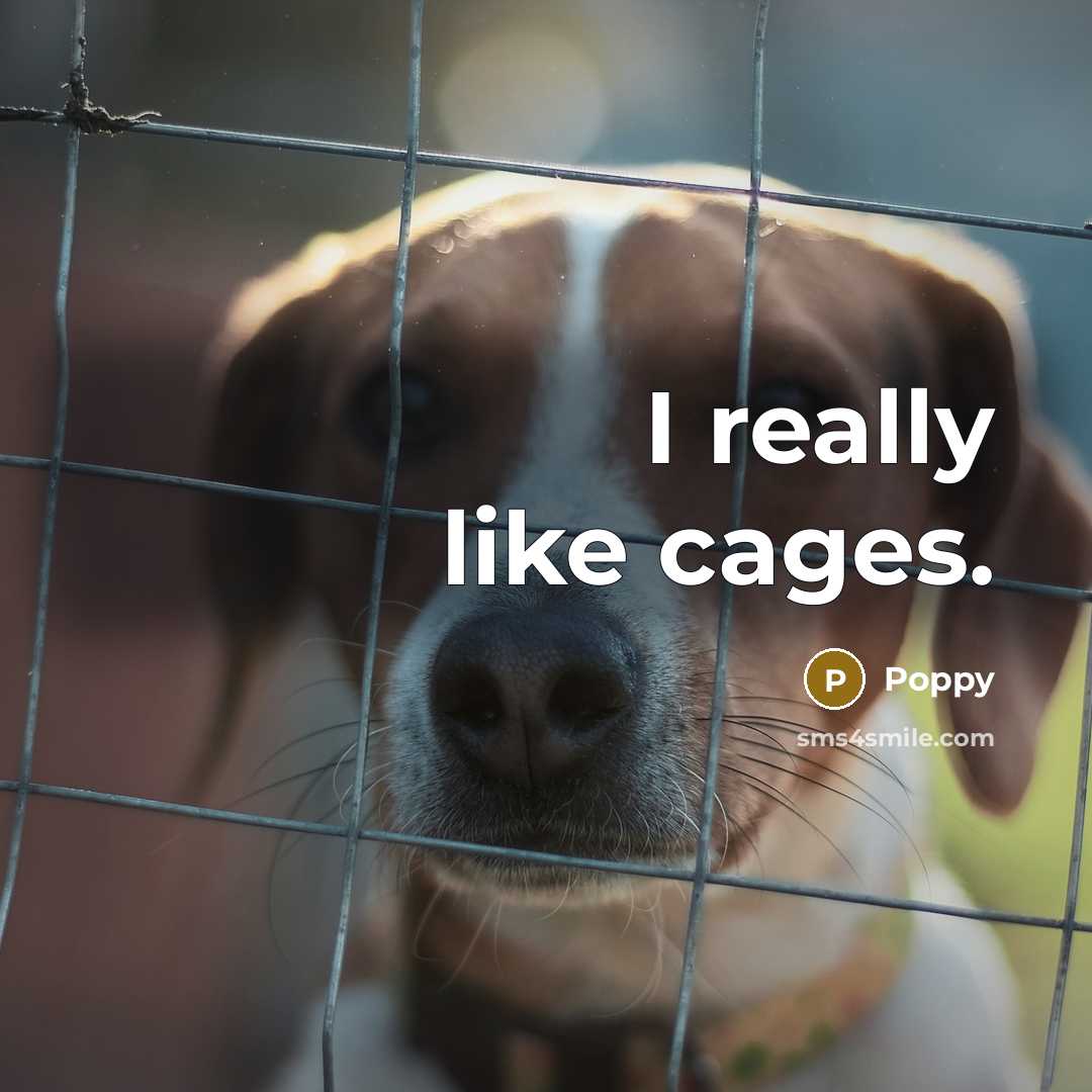 “I really like cages.…” quote by Poppy