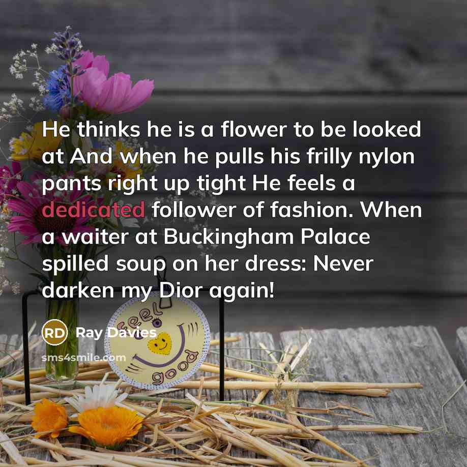 “He thinks he is a flower to be looked at…” quote by Ray Davies