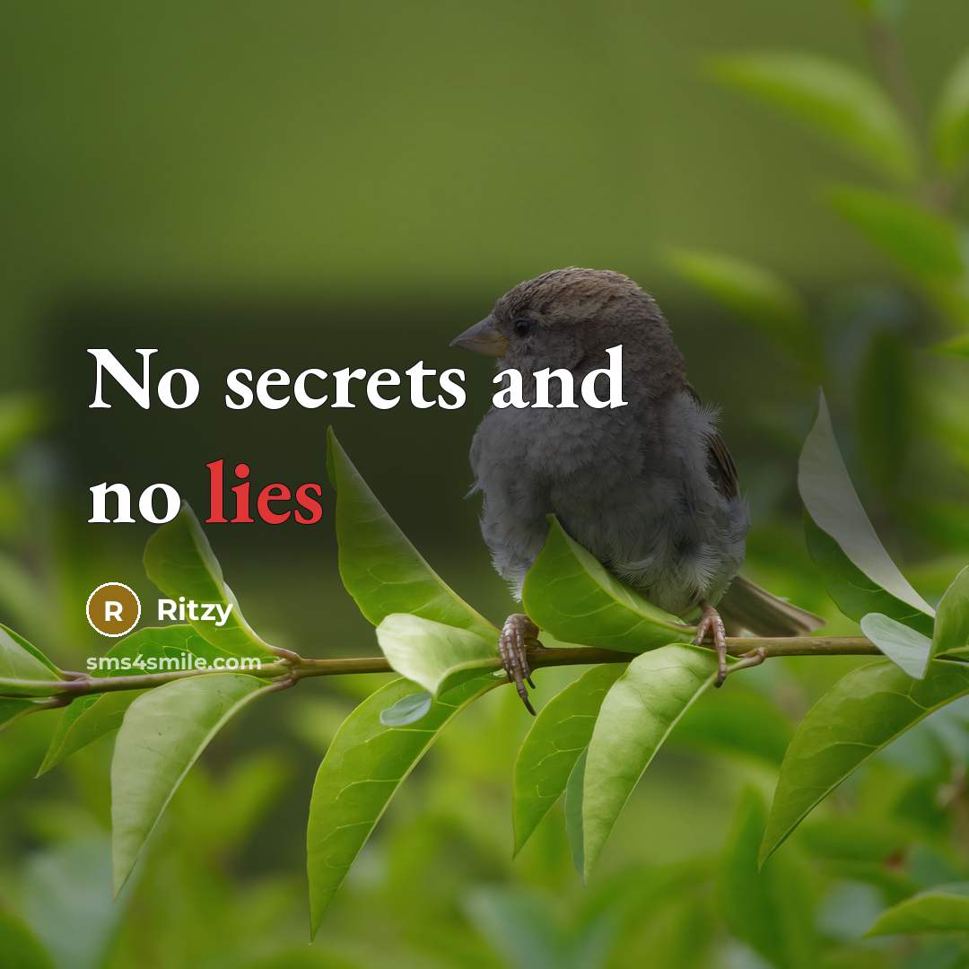 “No secrets and no lies…” quote by Ritzy