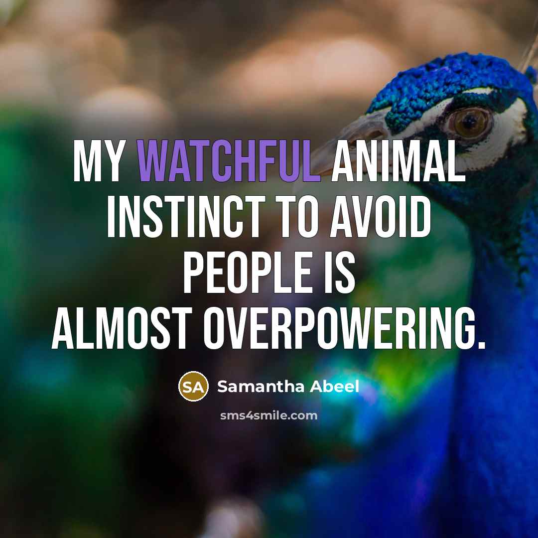 “My watchful animal instinct to avoid people is almost overpowering.…” quote by Samantha Abeel