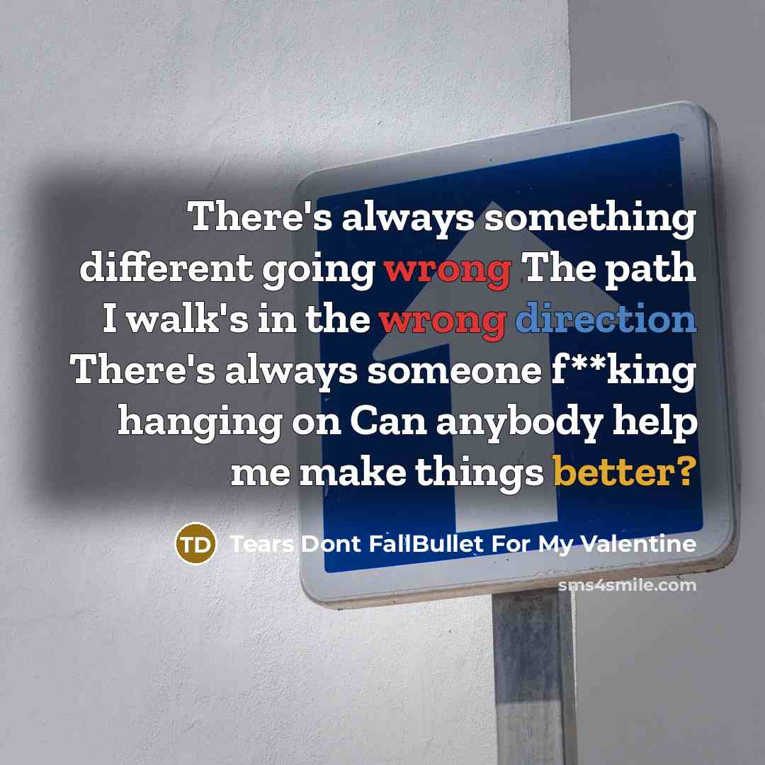 “There's always something different going wrong The path I walk's in the wrong direction There's always someone f**king hanging on Can anybody help me make things better?” quote by Tears Dont FallBullet For My Valentine