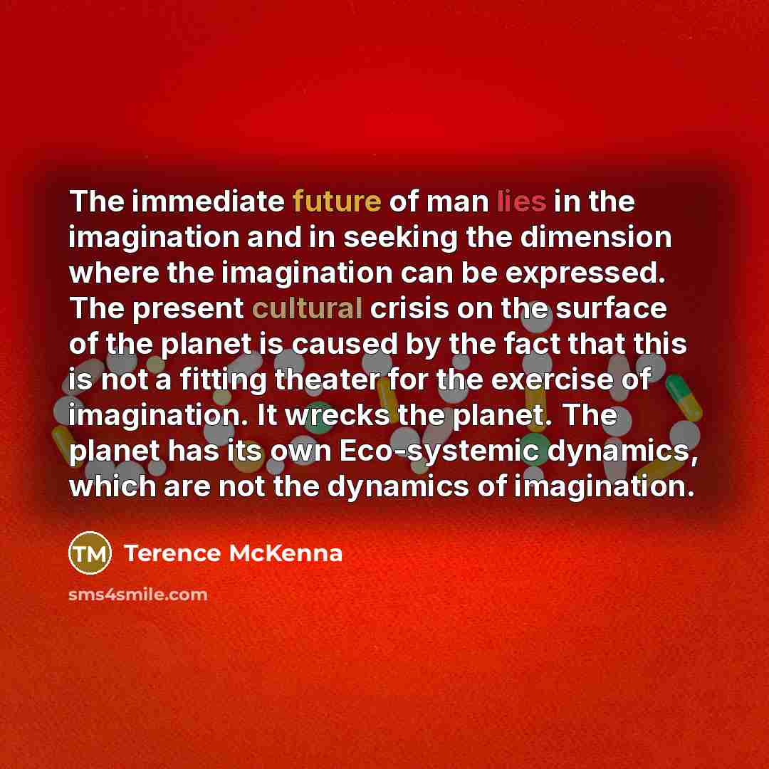 “The immediate future of man lies in the imagination and…” quote by Terence McKenna
