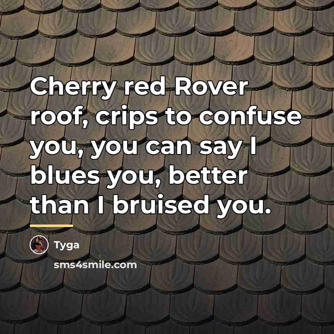 “Cherry red Rover roof, crips to confuse you, you can…” quote by Tyga