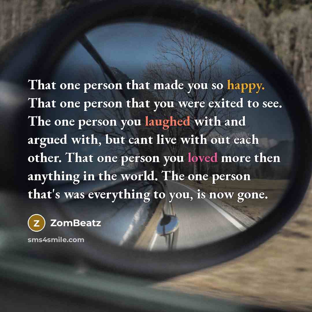 “That one person that made you so happy. That one person that you were exited to see. The one person you laughed with and argued with, but cant live with out each other. That one person you loved more then anything in the world. The one person that's was everything to you, is now gone.” quote by ZomBeatz