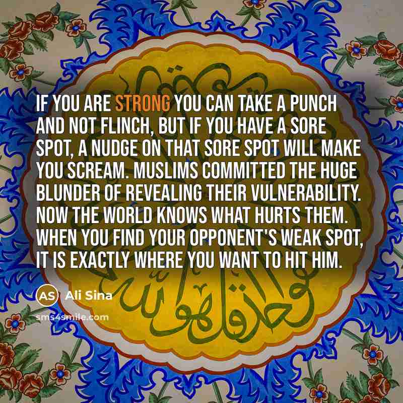 “If you are strong you can take a punch and…” quote by Ali Sina