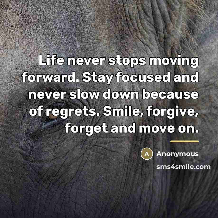 “Life never stops moving forward. Stay focused and never slow…” quote by Anonymous