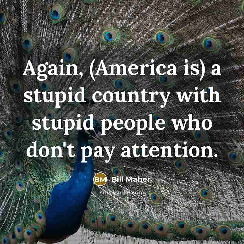 “Again, (America is) a stupid country with stupid people who…” quote by Bill Maher