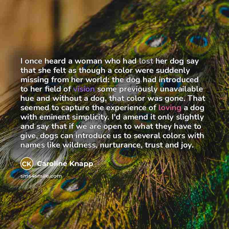 “I once heard a woman who had lost her dog say that she felt as though a color were suddenly missing from her world: the dog had introduced to her field of vision some previously unavailable hue and without a dog, that color was gone. That seemed to capture the experience of loving a dog with…” quote by Caroline Knapp