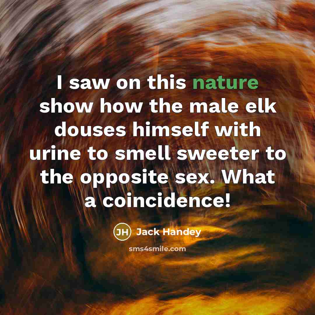 “I saw on this nature show how the male elk…” quote by Jack Handey